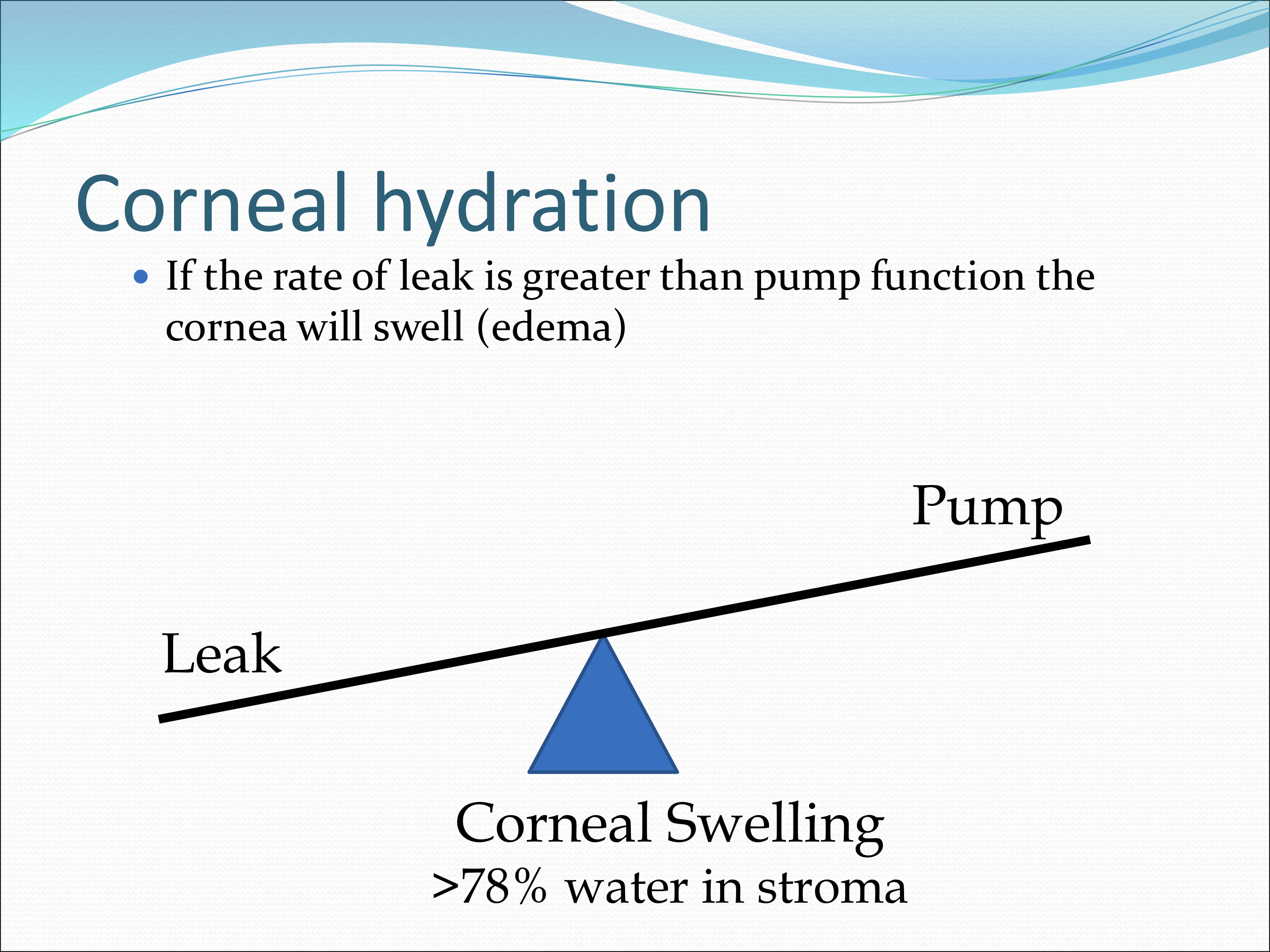 <p>The cornea will swell (edema)</p>