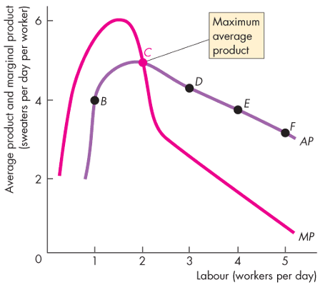 Average Product Curve