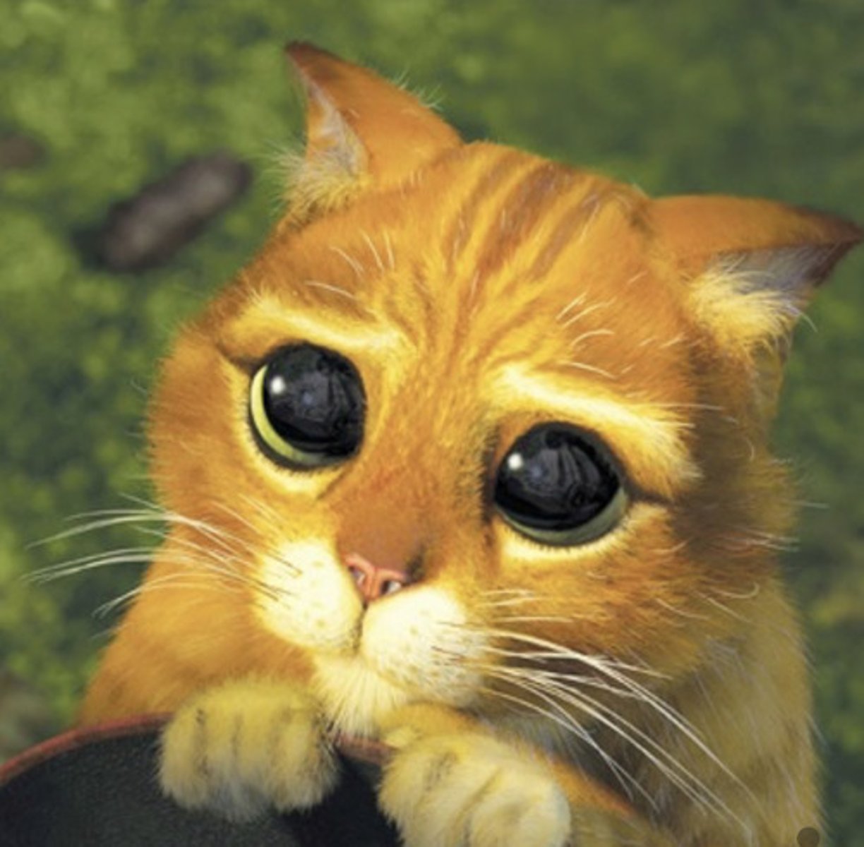 <p>to ask, request</p>