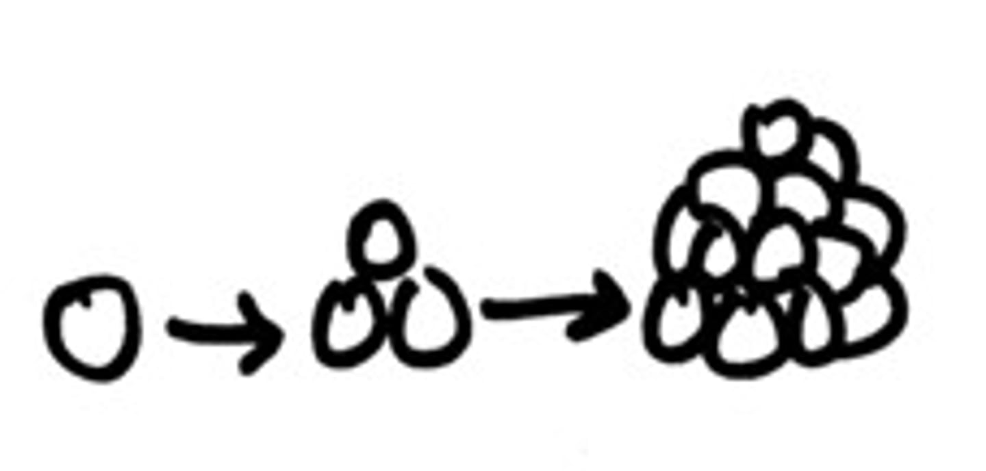 <p>증가하다,생기다</p>
