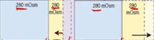 <p>Loss of water &amp; sodium → fluid loss in ECF</p><p>Gain of water &amp; sodium → fluid excess in ECF </p><p></p>