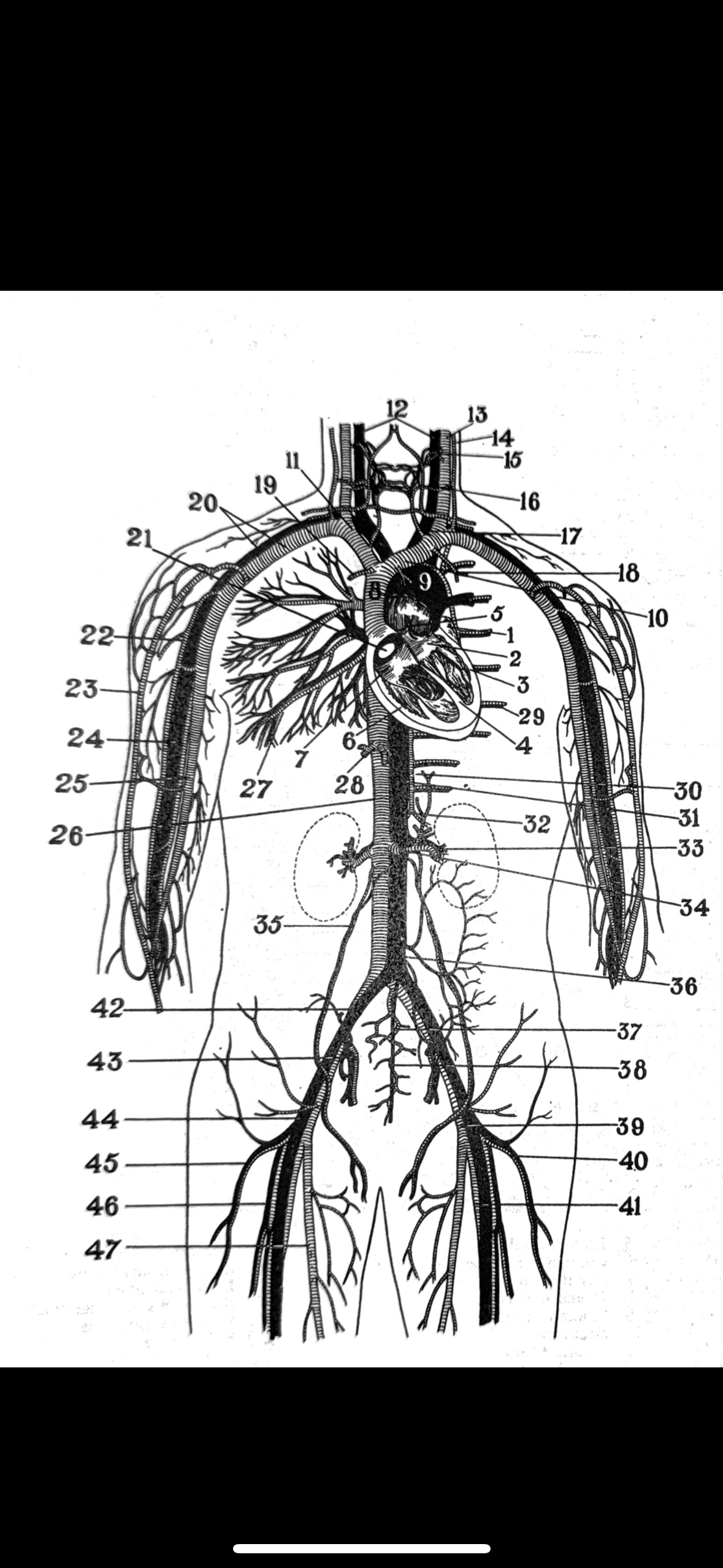 <p>3</p>