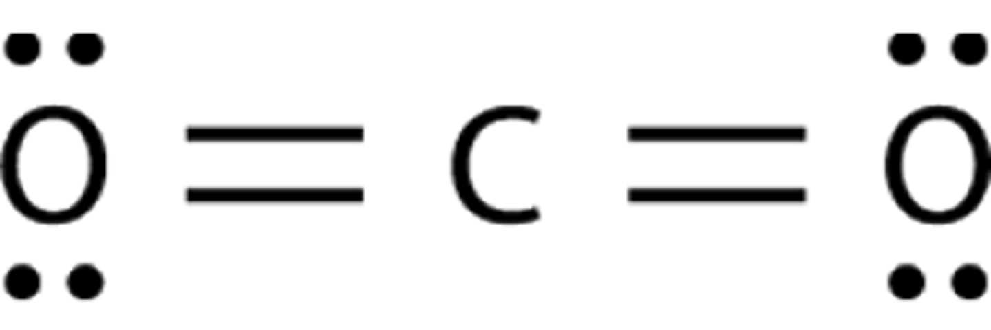 <p>It is a symmetrical molecule, so it is non-polar</p>