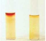 <p>Interpret the results of the Indole production tests shown (L-R)</p>