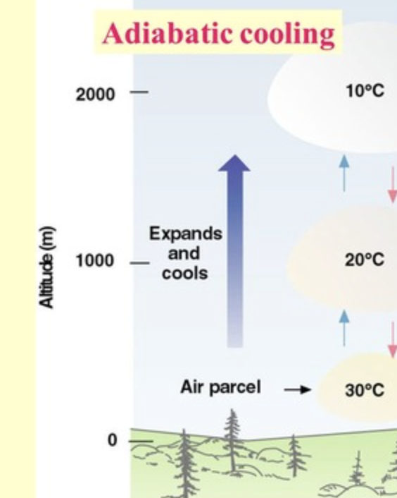 <p>The process by which the temperature of an air parcel decreases as it expands due to decreasing pressure, without heat exchange with the surrounding environment. </p>