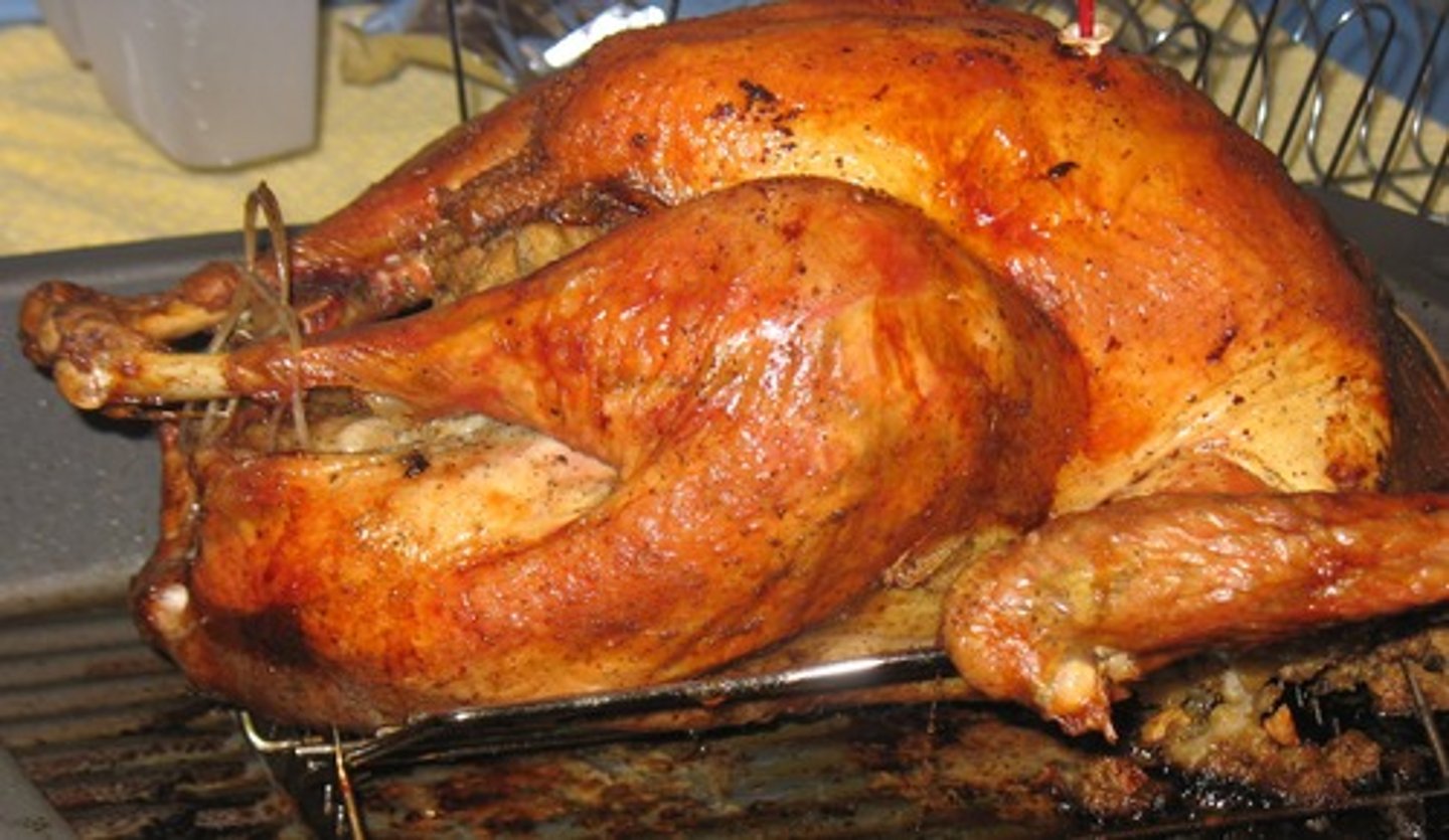 <p>turkey</p>