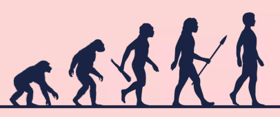 <p>(<em>noun</em>) the idea that plants and animals change over time</p><p>“During most of human _______, humans didn’t sit in chairs.”</p>