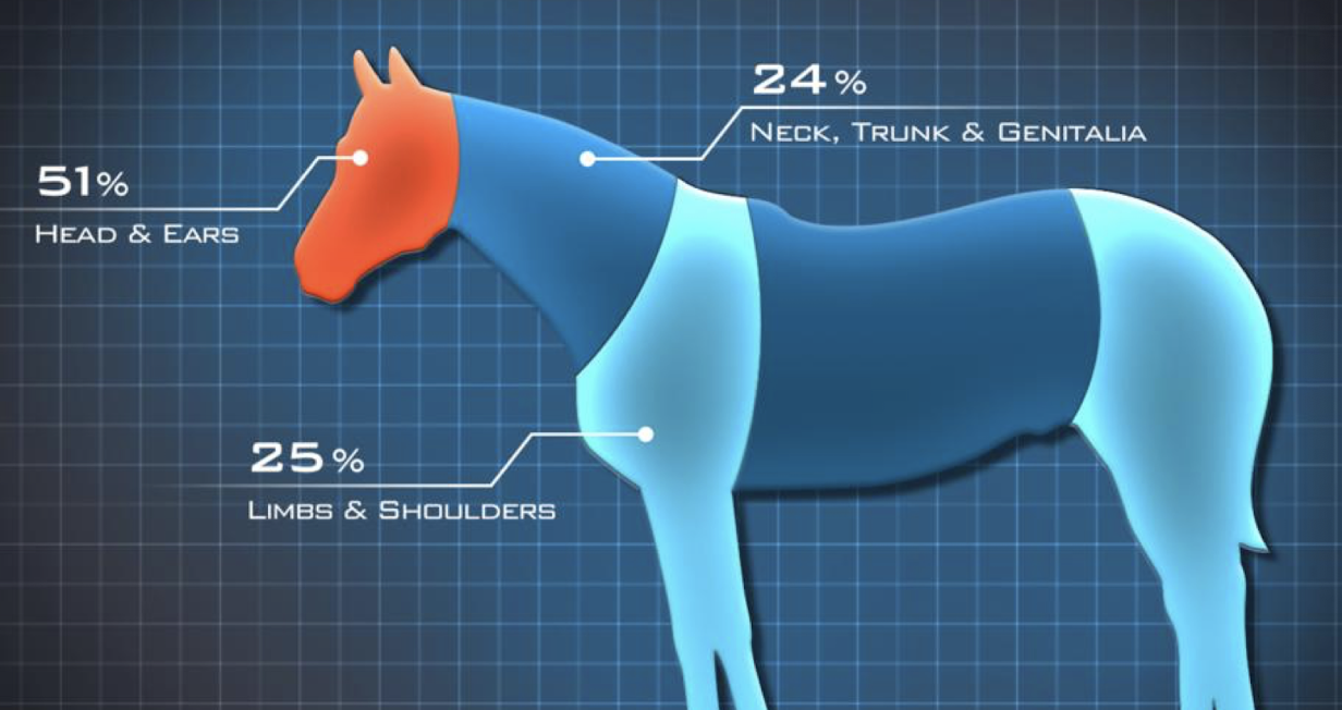 <p>Diagnosis is usually by clinical appearance (wart-like, fibroblastic, or ulcerative lesions) and confirmed via biopsy and histopathology. Biopsy may risk local spread, so careful site selection is needed</p>