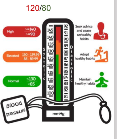 <p>Systolic - 120</p>
