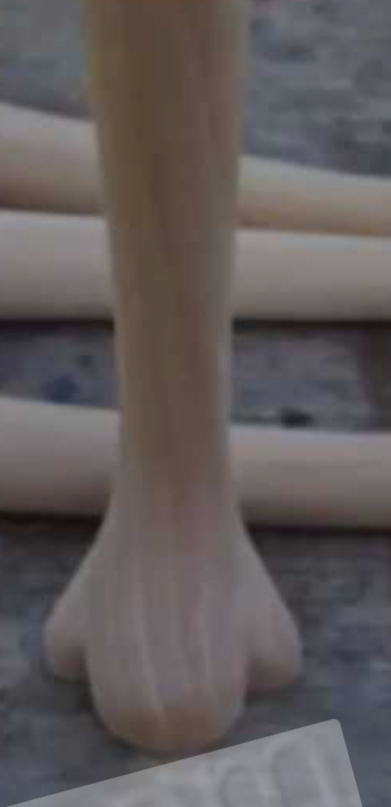 <p>Broad term designating any of several 18th century shaped feet used throughout Europe and America, generally to terminate a cabriole leg; Each type is characterized by a flat circular or avoid bottom, little or no carved ornamentation and a smoothly curved top with any of several profiles</p>