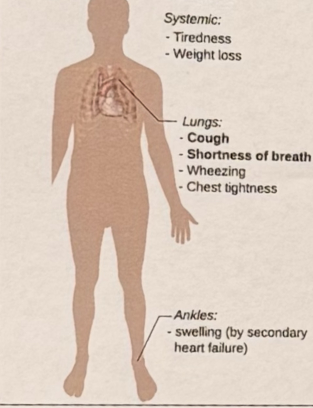 <p>What is COPD? </p>