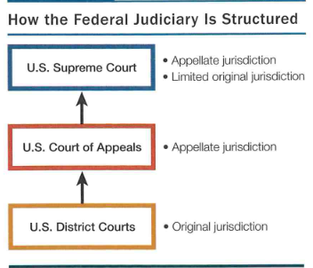<p>The federal court system has three main levels: district courts (the trial court), circuit courts which are the first level of appeal, and the Supreme Court of the United States.</p>