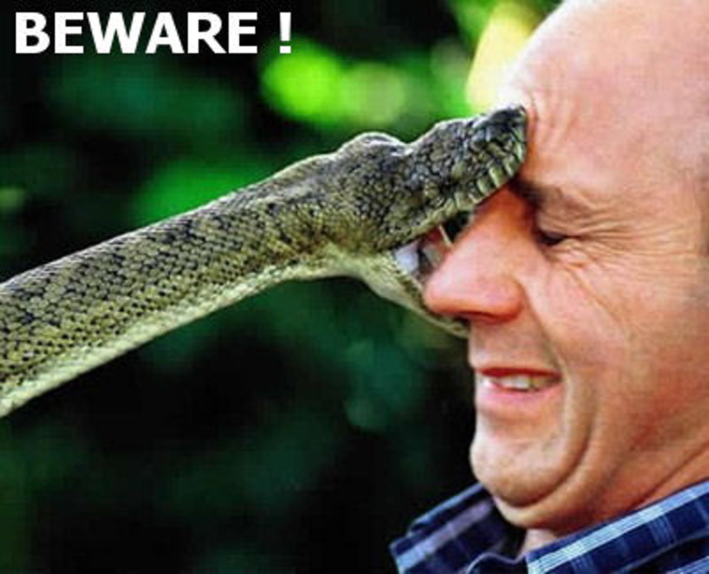 <p>vt. 造成；使遭受（损伤、痛苦等）；给予（打击等）</p>