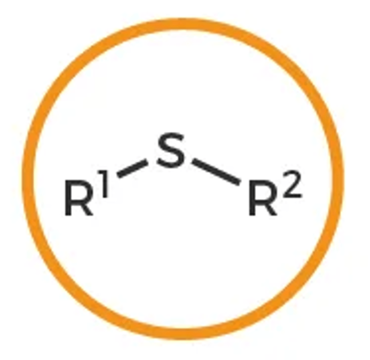<p>R-SR</p>