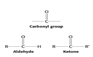 <p>three.</p><ul><li><p>dihydroxyacetone</p></li><li><p>D- and L-glyceraldehyde</p></li></ul>