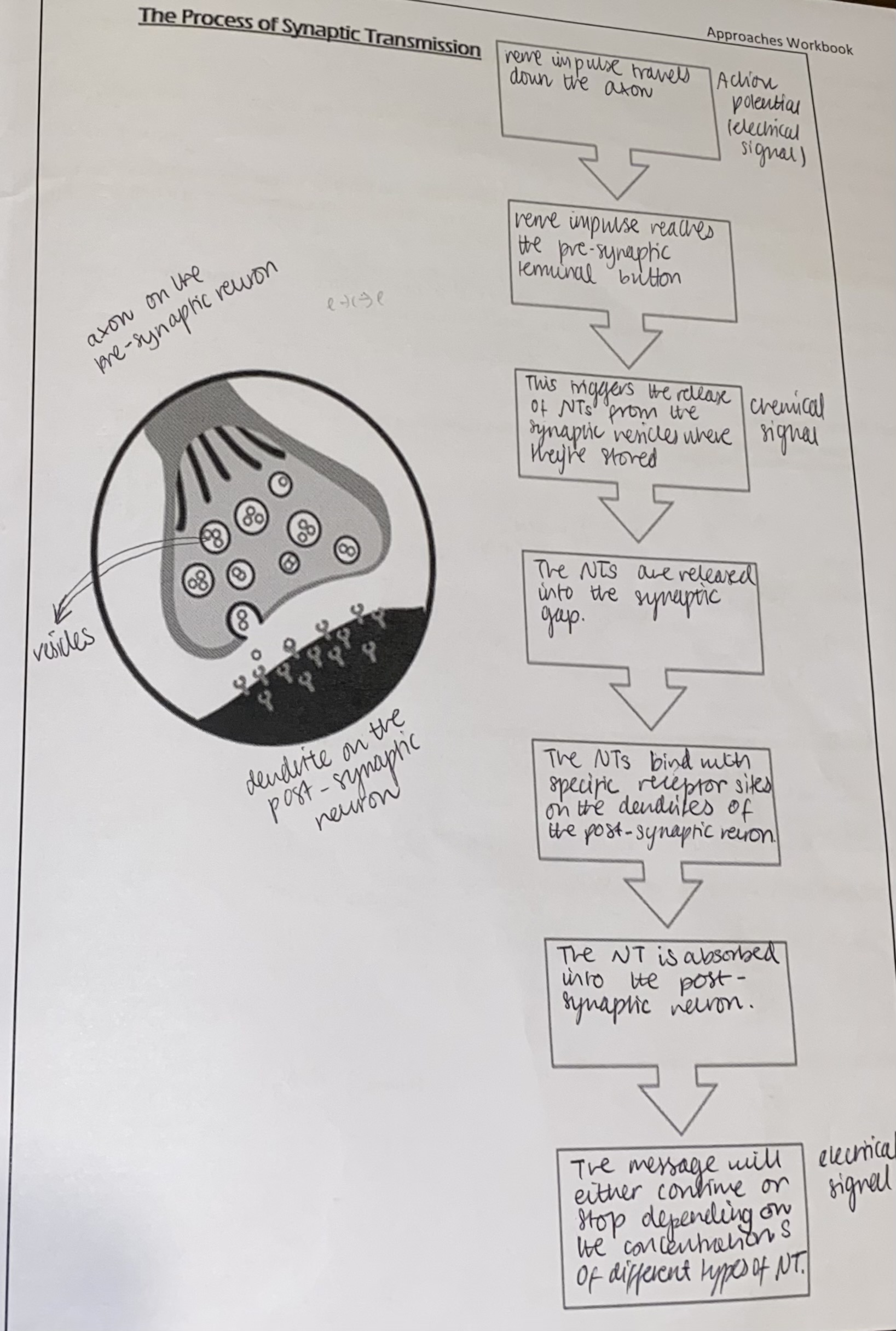 knowt flashcard image