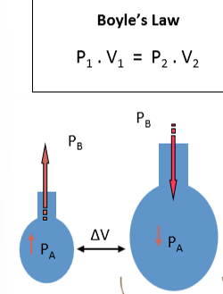 <p>altering the thoracic volume leads to a change in alveolar volume which results in air flow</p>