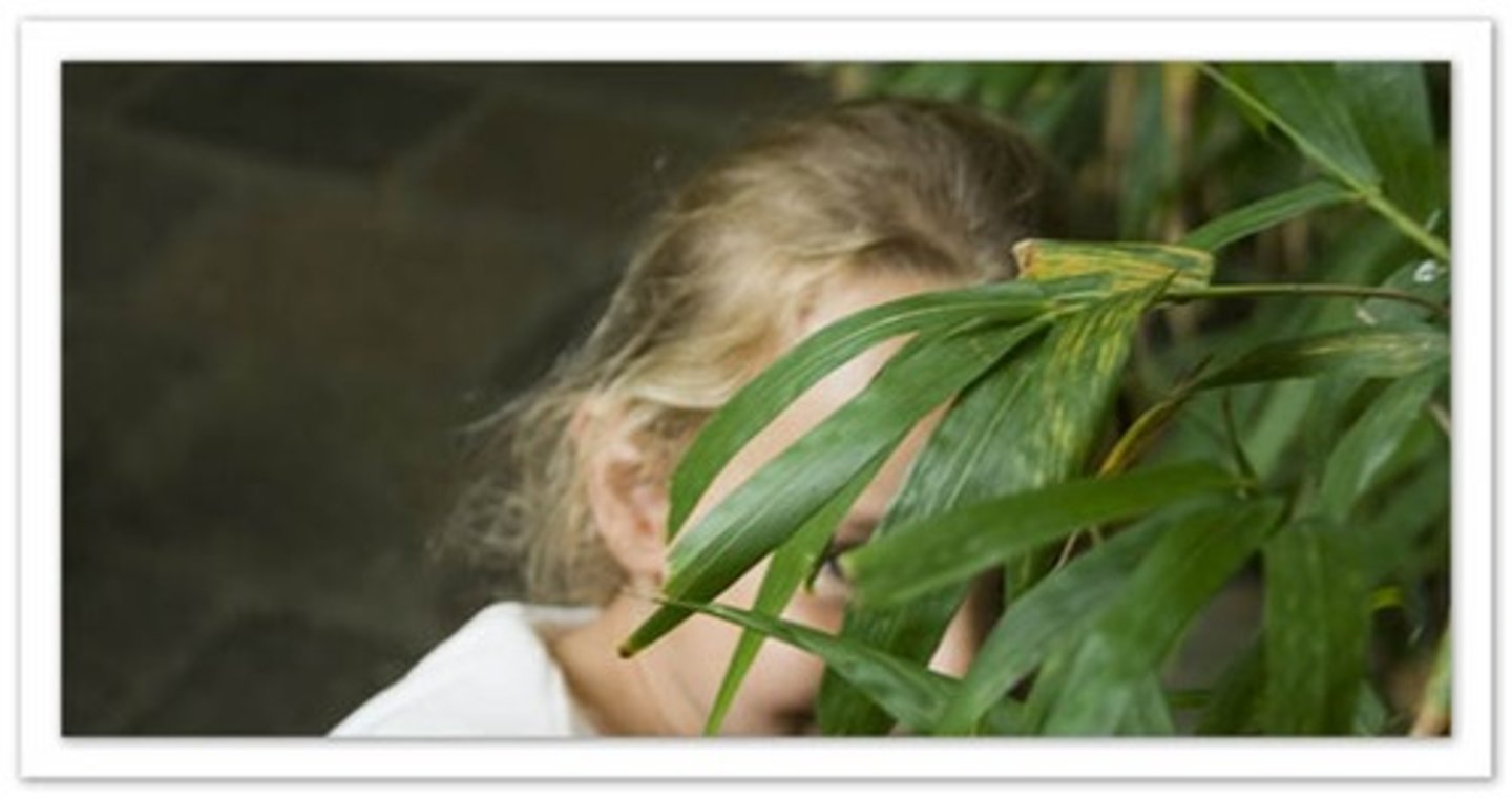<p>to hide</p>