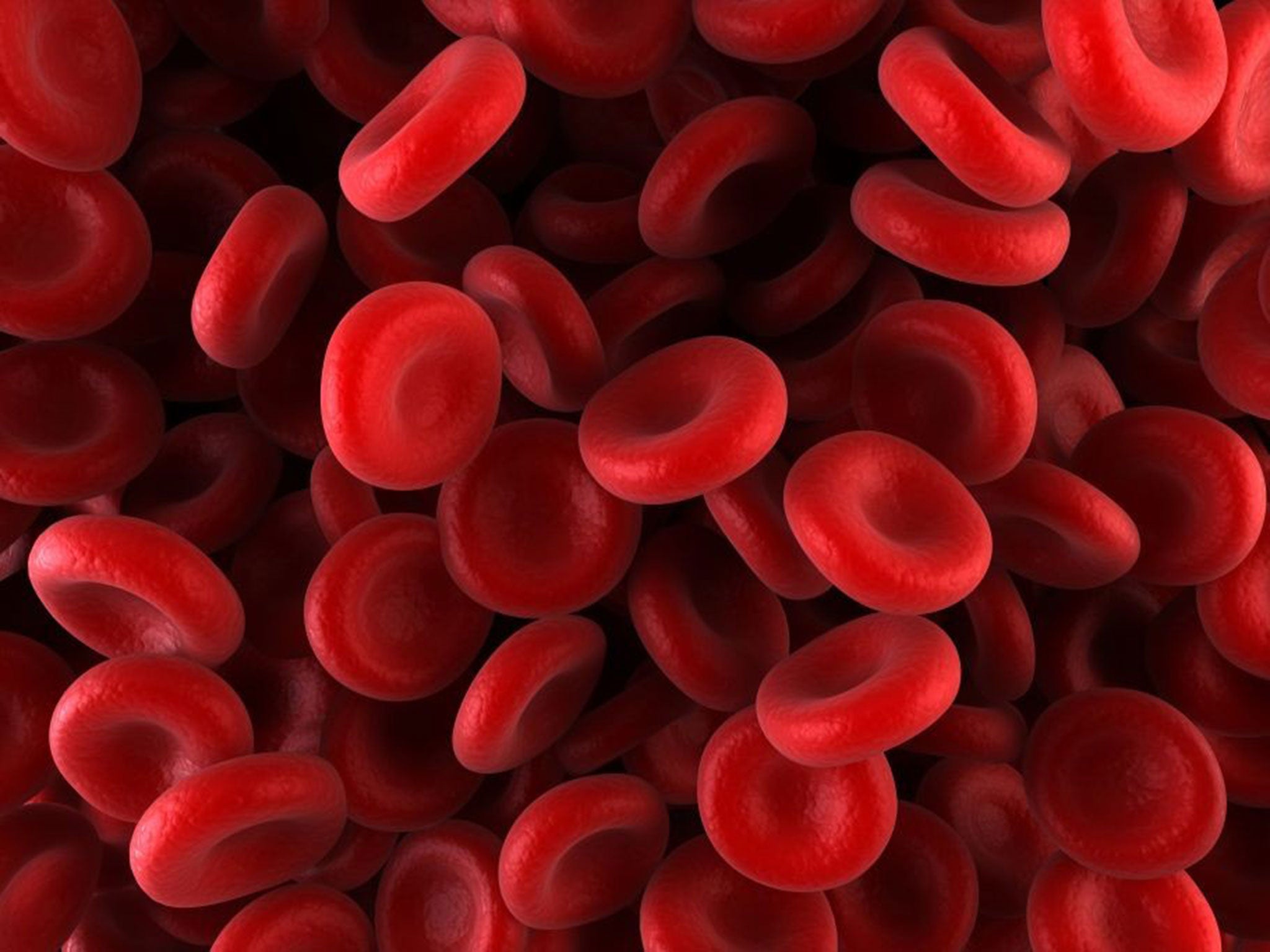 <p>blood</p>