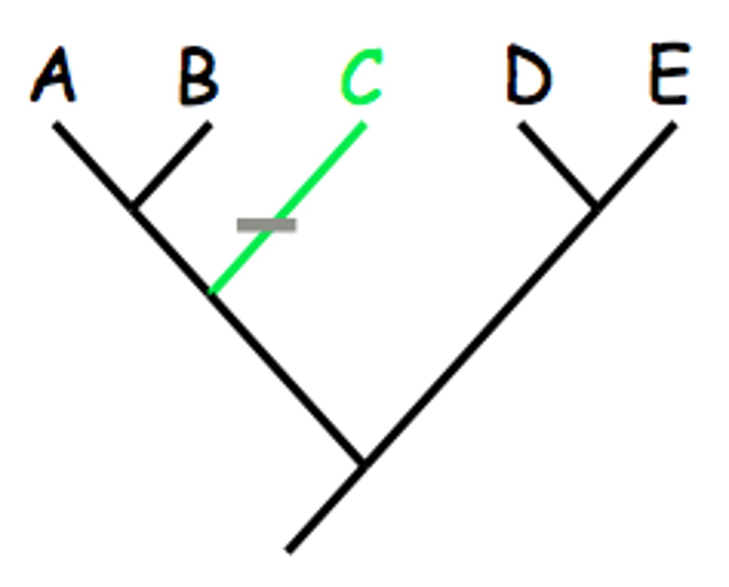 <p>Found in one taxon but not in the outgroup or any other taxons</p>