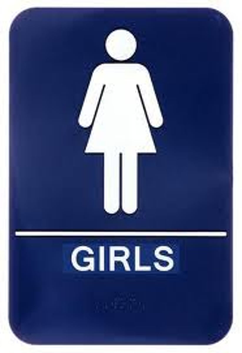 <p>nǚ - female</p>