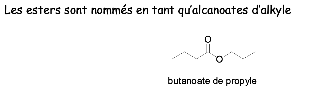 <ul><li><p>Dérivés d’acides carboxyliques</p></li></ul>