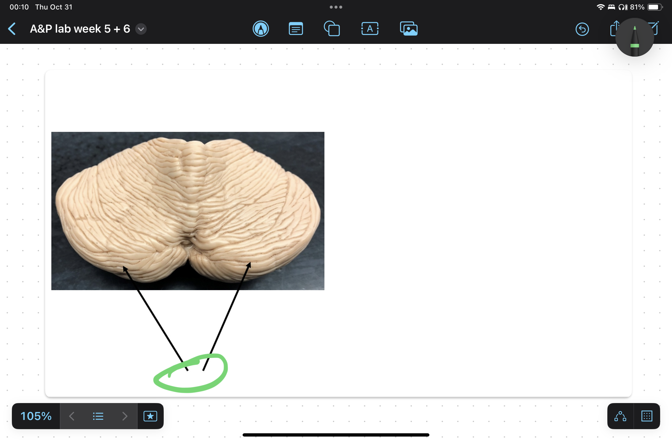 knowt flashcard image