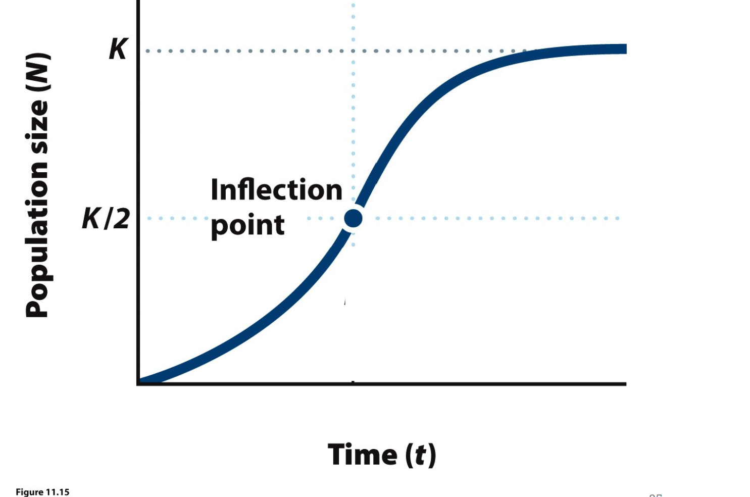 <p>A model that produces a SIGMOID GROWTH CURVE (s-shape) - produced by adding a “stop” term to an exponential growth model’s slope</p><p>Slope is highest at inflection point</p><p>For this model,</p><p>N = population size</p><p>K = carrying capacity</p><p>r = intrinsic rate of growth</p><p>t = time</p>