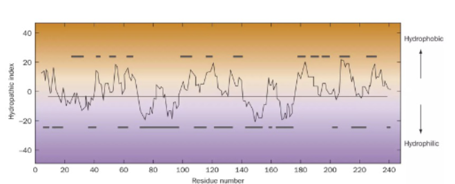 <p>Explain this diagram</p>