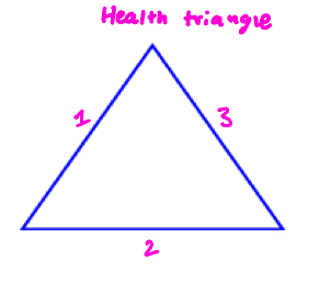 <p>Each side of the health triangle is interchangeable, label the parts </p>