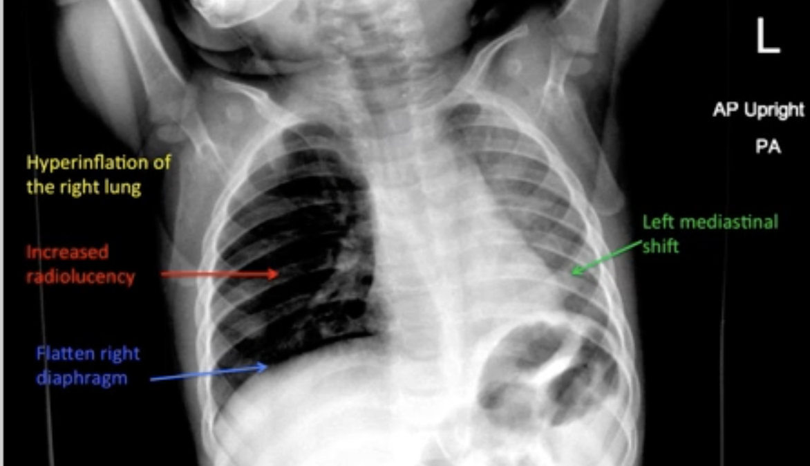 <p><span>what is this and describe</span></p>
