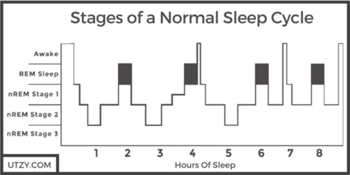 <p>The first 3 stages: N1, N2, and N3.</p>