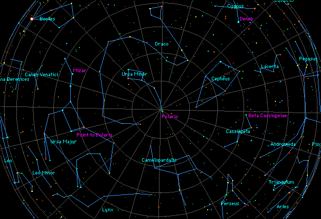 <p>Ursa Major - big dipper is an asterism of ursa major</p><p>Ursa Minor - tail represents polaris</p><p>Cassiopeia - Queen of ethiopia, W or M, forms a crown, northern sky (seen)</p><p>Draco - dragon named ladon, guards golden apple tree of Goddess Hera </p><p>Cepheus - King of ethiopia, kingdom (mukang house) </p>