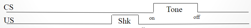 <p>-results in poor learning or sometimes inhibitory learning</p><p>-CS is perceived as a “safety signal”</p><p></p>