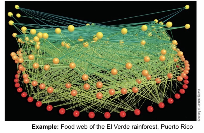 <p><span><span>three-dimensional “ball-and-stick diagrams” to represent the complexity of connections (sticks) among species at various trophic levels (balls; colors indicate trophic levels).</span></span></p>
