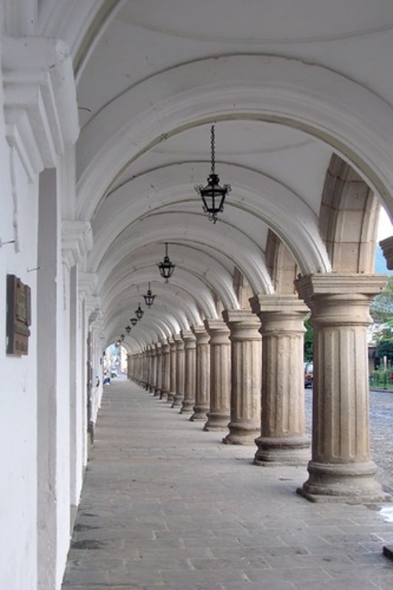 <p>a row of regularly spaced columns to support the roof</p>