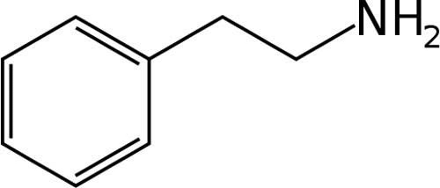 <p>what structure is this</p>