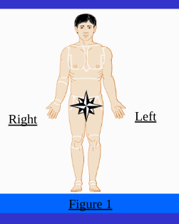 <p>Universal or Anatomic Position</p>