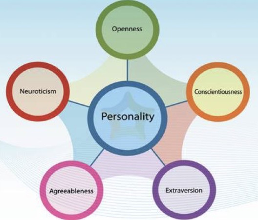 <ol><li><p>openness (play pretend) </p></li><li><p>conscientiousness (can depend on)</p></li><li><p>extraversion-introversion (extrovert and introvert) </p></li><li><p>Agreeableness (co-op)</p></li><li><p>Neuroticism (how emotionally unstable you are) </p></li></ol><p></p>