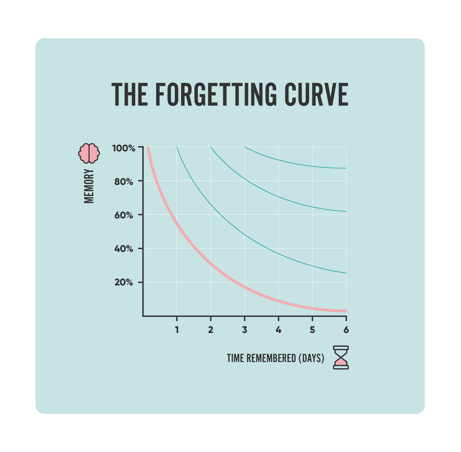 <p>proposes that we forget most new information right away, remember a few things for a long time</p><ul><li><p>A famous graph created by Ebbinghaus showing that we forget a lot of novel/new information quickly, but retain some information for a long time.</p></li><li><p>hermann ebbinghaus</p></li></ul>