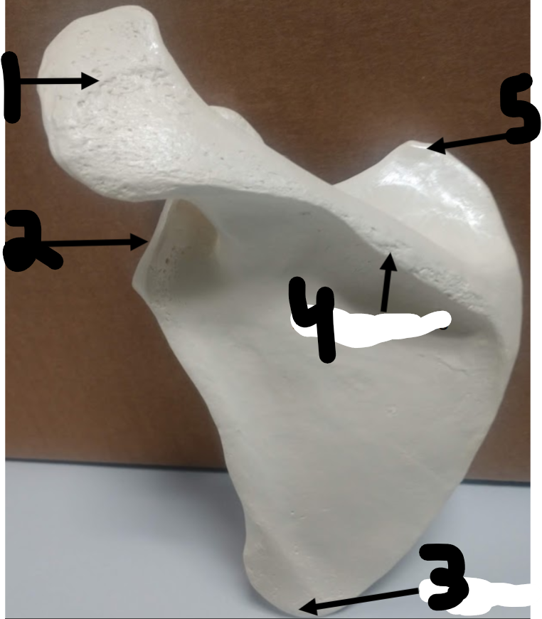 <p>What is 2?</p>