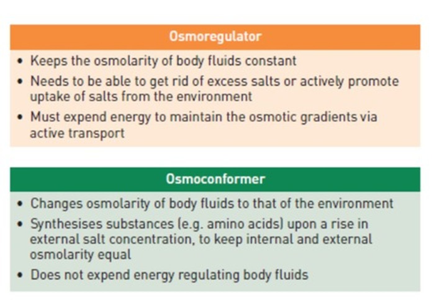 <p>Osmoregulation, excretion, and transport.</p>