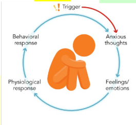 <p> trigger → anxious thoughts → feelings/emotions (fear, worry, dizziness) → physiological response → behavioral response</p>