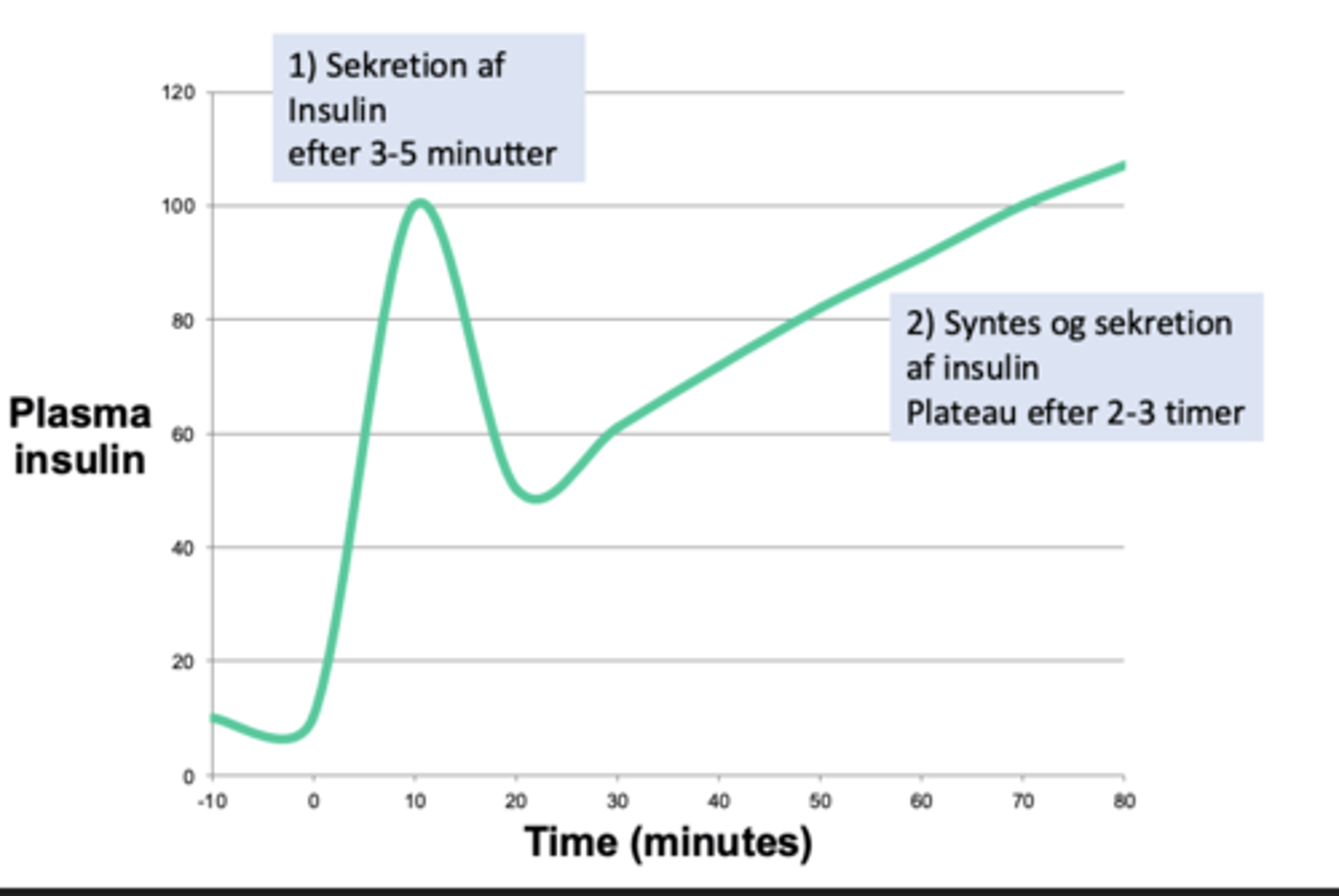 <p>Første fase:</p><p>3-10 minutter.</p><p>Forekommer når insulin secerneres fra granula.</p><p>Præpro insulin ligger i vesiklerne og venter på 2 signal.</p><p>Anden fase:</p><p>Plateau efter 2-3 timer.</p><p>Forekommer så længe glukoseniveauet er forhøjet. Der sker en nydannelse af insulin.</p><p>Dette tager længere tid da insulinen skal dannes og ikke ligger klar i vesikler.</p>