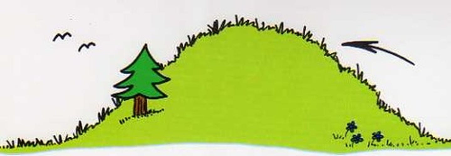 <p>n/hɪl/ đồi slope, mound</p><p>We climbed up the hill to watch the sunrise. (Chúng tôi leo lên đồi để ngắm mặt trời mọc.)</p>