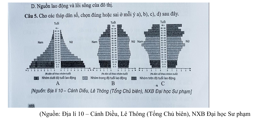 <p>a) Tháp dân số A có số người trên độ tuổi lao động chiếm tỉ trọng cao nhất.</p>