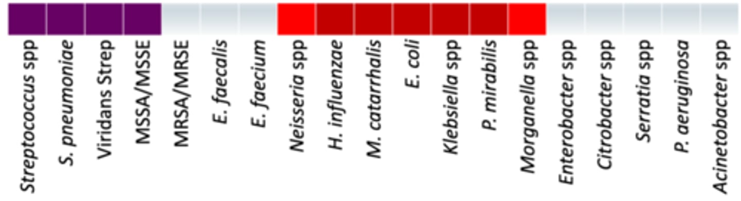 <p>• Anaerobes: +/- (oral anaerobes)</p><p>• Coverage - Covers same as 1st Gen + S. pneumoniae, H. influenzae, M catarrhalis and some coverage of Neisseria spp and Morganella spp</p>
