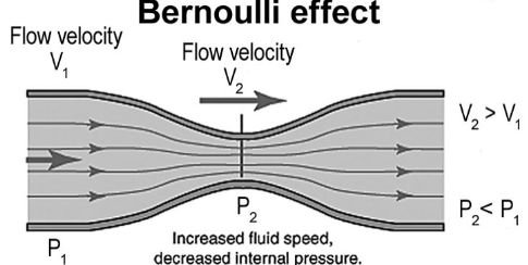 <p>Where there is a decrease in pressure in regions of high flow speed (velocity)</p>