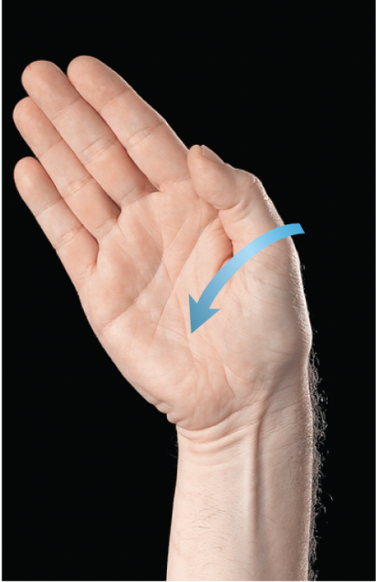 <p>movement that tilts the hand towards the pinky</p>