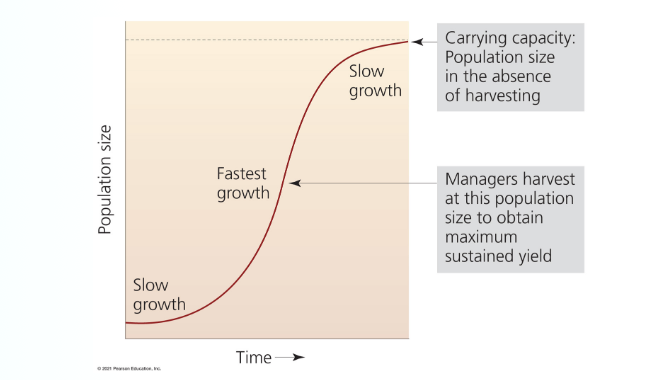 carrying capacity: population size in the absence of harvesting

\
managers harvest at this population size to obtain maximum sustainable yield.